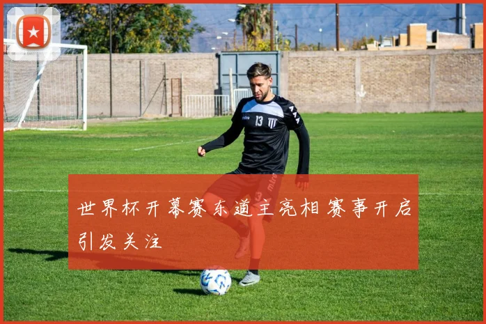 世界杯开幕赛东道主亮相 赛事开启引发关注