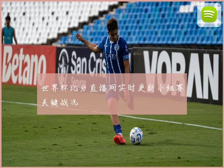 世界杯比分直播网实时更新小组赛关键战况