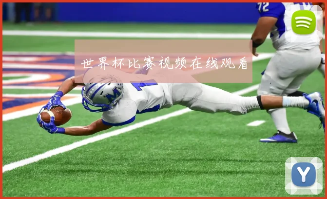 世界杯比赛视频在线观看