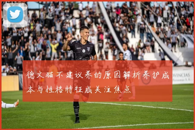 德文猫不建议养的原因解析养护成本与性格特征成关注焦点