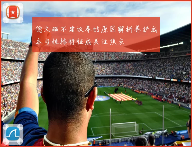 德文猫不建议养的原因解析养护成本与性格特征成关注焦点