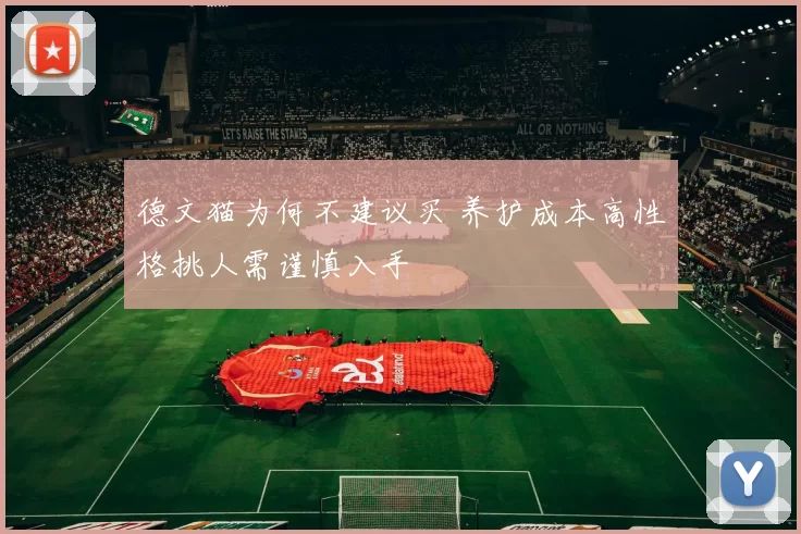 德文猫为何不建议买 养护成本高性格挑人需谨慎入手