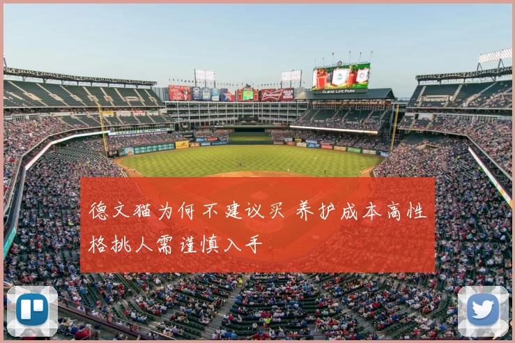 德文猫为何不建议买 养护成本高性格挑人需谨慎入手