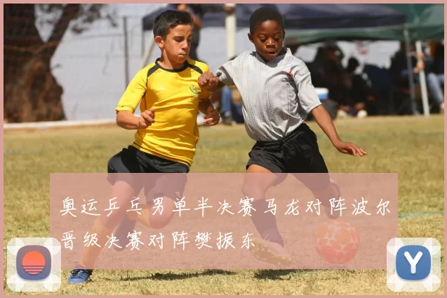 奥运乒乓男单半决赛马龙对阵波尔晋级决赛对阵樊振东