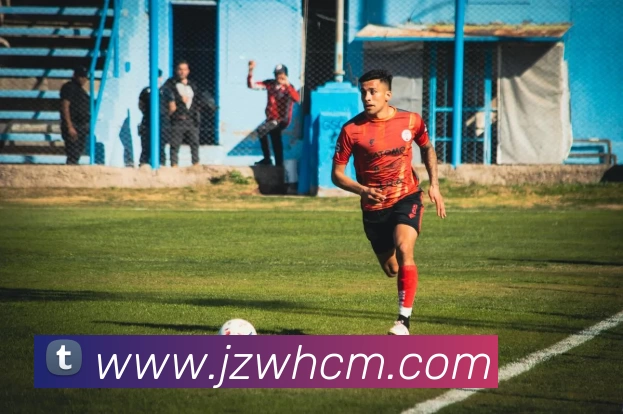 彩神官方端网页版 - 彩神(中国)平台生态图