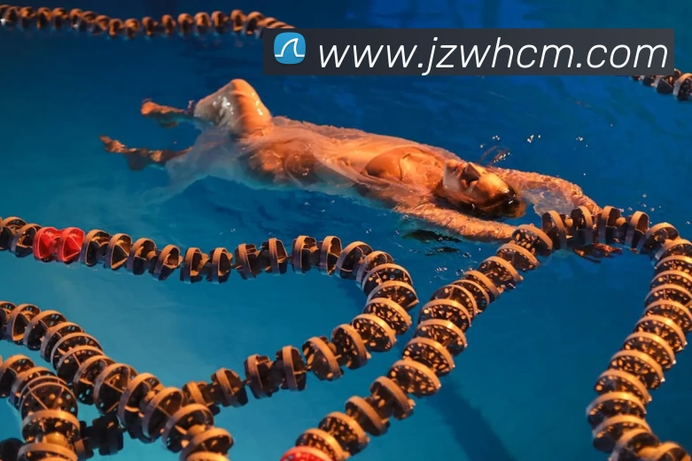 彩神官方端网页版 - 彩神(中国)全站App 彩神官方端网页版 - 彩神(中国)全站App